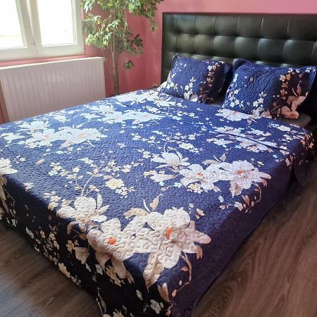 Right Choice Room Antwerpen Ngoại thất bức ảnh