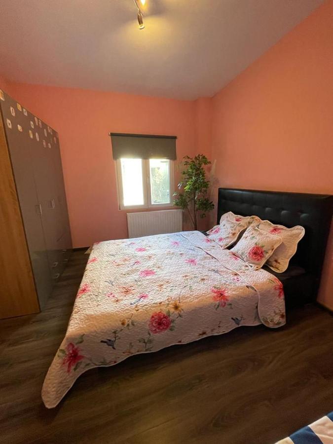 Right Choice Room Antwerpen Ngoại thất bức ảnh